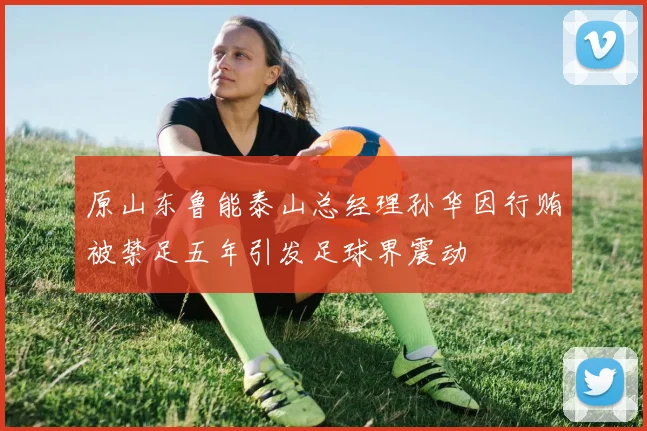 原山东鲁能泰山总经理孙华因行贿被禁足五年引发足球界震动